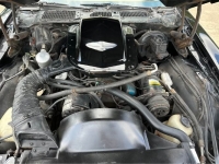 1978 Pontiac Firebird for sale in Michigan (ID-163604)