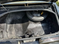 1978 Pontiac Firebird for sale in Michigan (ID-163604)