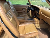 1978 Pontiac Firebird for sale in Michigan (ID-163604)