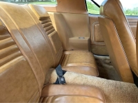 1978 Pontiac Firebird for sale in Michigan (ID-163604)