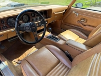 1978 Pontiac Firebird for sale in Michigan (ID-163604)