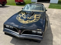 1978 Pontiac Firebird for sale in Michigan (ID-163604)
