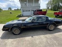 1978 Pontiac Firebird for sale in Michigan (ID-163604)
