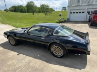 1978 Pontiac Firebird for sale in Michigan (ID-163604)