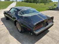1978 Pontiac Firebird for sale in Michigan (ID-163604)