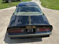 1978 Pontiac Firebird for sale in Michigan (ID-163604)