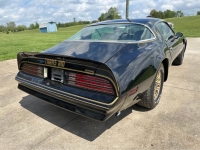 1978 Pontiac Firebird for sale in Michigan (ID-163604)