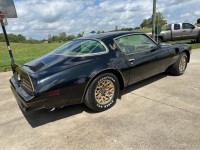 1978 Pontiac Firebird for sale in Michigan (ID-163604)
