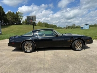 1978 Pontiac Firebird for sale in Michigan (ID-163604)