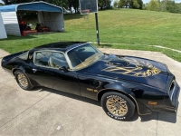 1978 Pontiac Firebird for sale in Michigan (ID-163604)