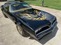 1978 Pontiac Firebird for sale in Michigan (ID-163604)