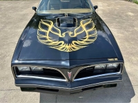 1978 Pontiac Firebird for sale in Michigan (ID-163604)