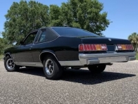 1978 Pontiac Phoenix for sale in Addison, Illinois (ID-118076)