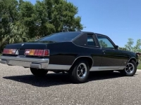 1978 Pontiac Phoenix for sale in Addison, Illinois (ID-118076)