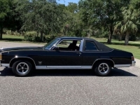 1978 Pontiac Phoenix for sale in Addison, Illinois (ID-118076)