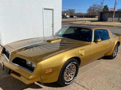1978 Pontiac Trans Am for sale