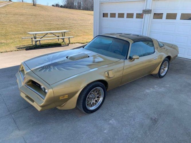 1978 Pontiac Trans Am for sale in Michigan (ID-98255)