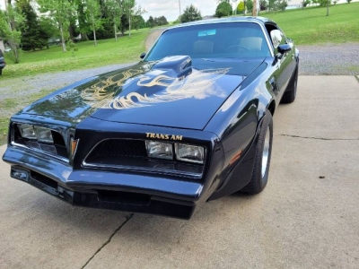 1978 Pontiac Trans Am for sale