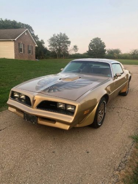1978 Pontiac Trans Am for sale in Michigan (ID-103186)