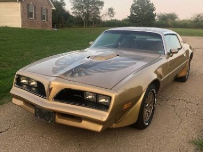 1978 Pontiac Trans Am for sale