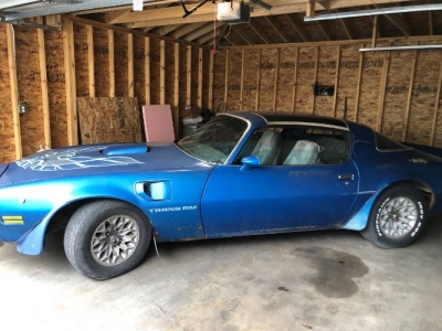 1978 Pontiac Trans Am for sale