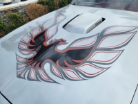 1978 Pontiac Trans Am for sale in Michigan (ID-113474)