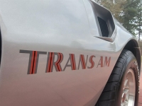 1978 Pontiac Trans Am for sale in Michigan (ID-113474)