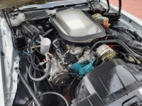 1978 Pontiac Trans Am for sale in Michigan (ID-113474)