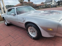1978 Pontiac Trans Am for sale in Michigan (ID-113474)