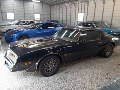 1978 Pontiac Trans Am for sale