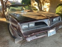 1978 Pontiac Trans Am for sale in Michigan (ID-119656)