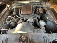 1978 Pontiac Trans Am for sale in Michigan (ID-119656)