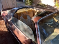 1978 Pontiac Trans Am for sale in Michigan (ID-119656)