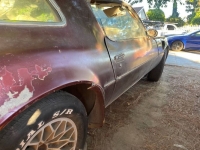 1978 Pontiac Trans Am for sale in Michigan (ID-119656)