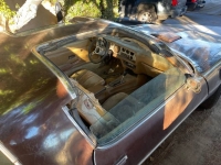 1978 Pontiac Trans Am for sale in Michigan (ID-119656)
