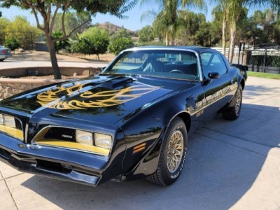 1978 Pontiac Trans Am for sale
