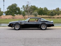 1978 Pontiac Trans Am for sale in Riverhead, New York (ID-124548)
