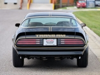 1978 Pontiac Trans Am for sale in Riverhead, New York (ID-124548)