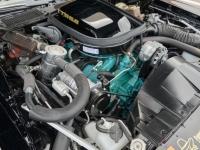 1978 Pontiac Trans Am for sale in Riverhead, New York (ID-124548)
