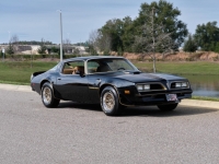 1978 Pontiac Trans Am for sale (ID-124890)