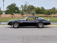 1978 Pontiac Trans Am for sale (ID-124890)