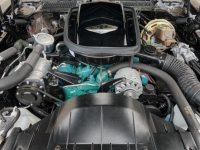1978 Pontiac Trans Am for sale (ID-124890)