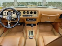 1978 Pontiac Trans Am for sale (ID-124890)