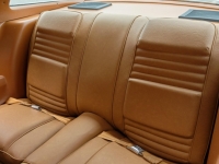 1978 Pontiac Trans Am for sale (ID-124890)