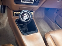 1978 Pontiac Trans Am for sale in Addison, Illinois (ID-126930)