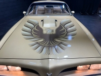 1978 Pontiac Trans Am for sale in Addison, Illinois (ID-126930)
