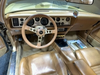 1978 Pontiac Trans Am for sale in Addison, Illinois (ID-126930)