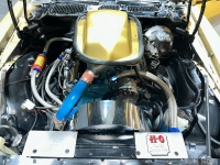1978 Pontiac Trans Am for sale in Addison, Illinois (ID-126930)