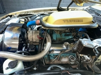 1978 Pontiac Trans Am for sale in Addison, Illinois (ID-126930)