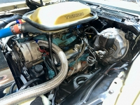 1978 Pontiac Trans Am for sale in Addison, Illinois (ID-126930)